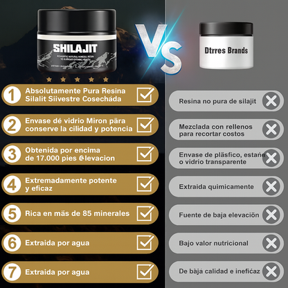 ⚡ Energía, fuerza y enfoque natural — Descubre el poder del Shilajit Puro del Himalaya 🏔️